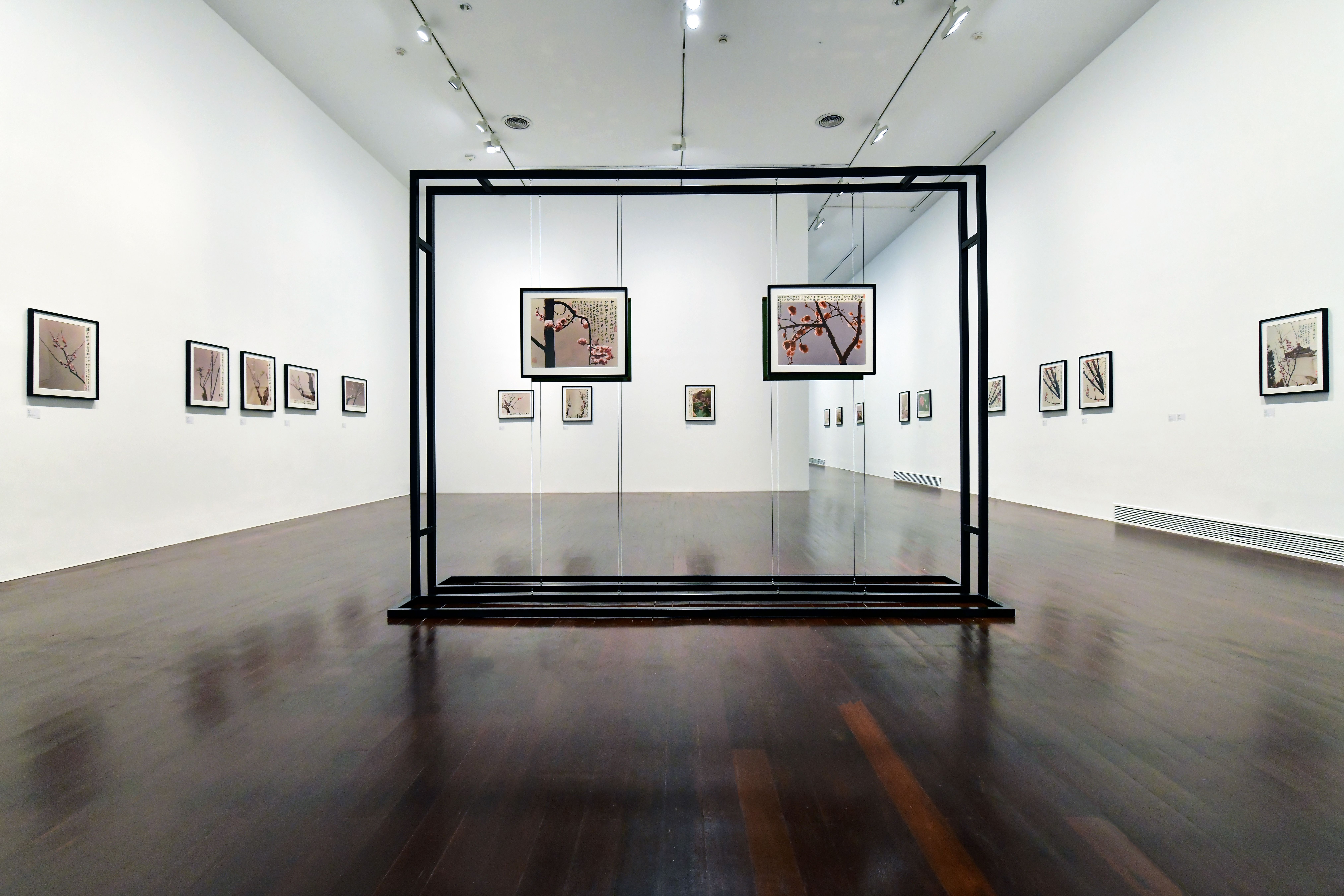 A spacious white gallery room with wooden flooring hosts an exhibition of framed Japanese cherry blossom photos hanging on...
