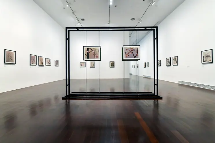 A spacious white gallery room with wooden flooring hosts an exhibition of framed Japanese cherry blossom photos hanging on...