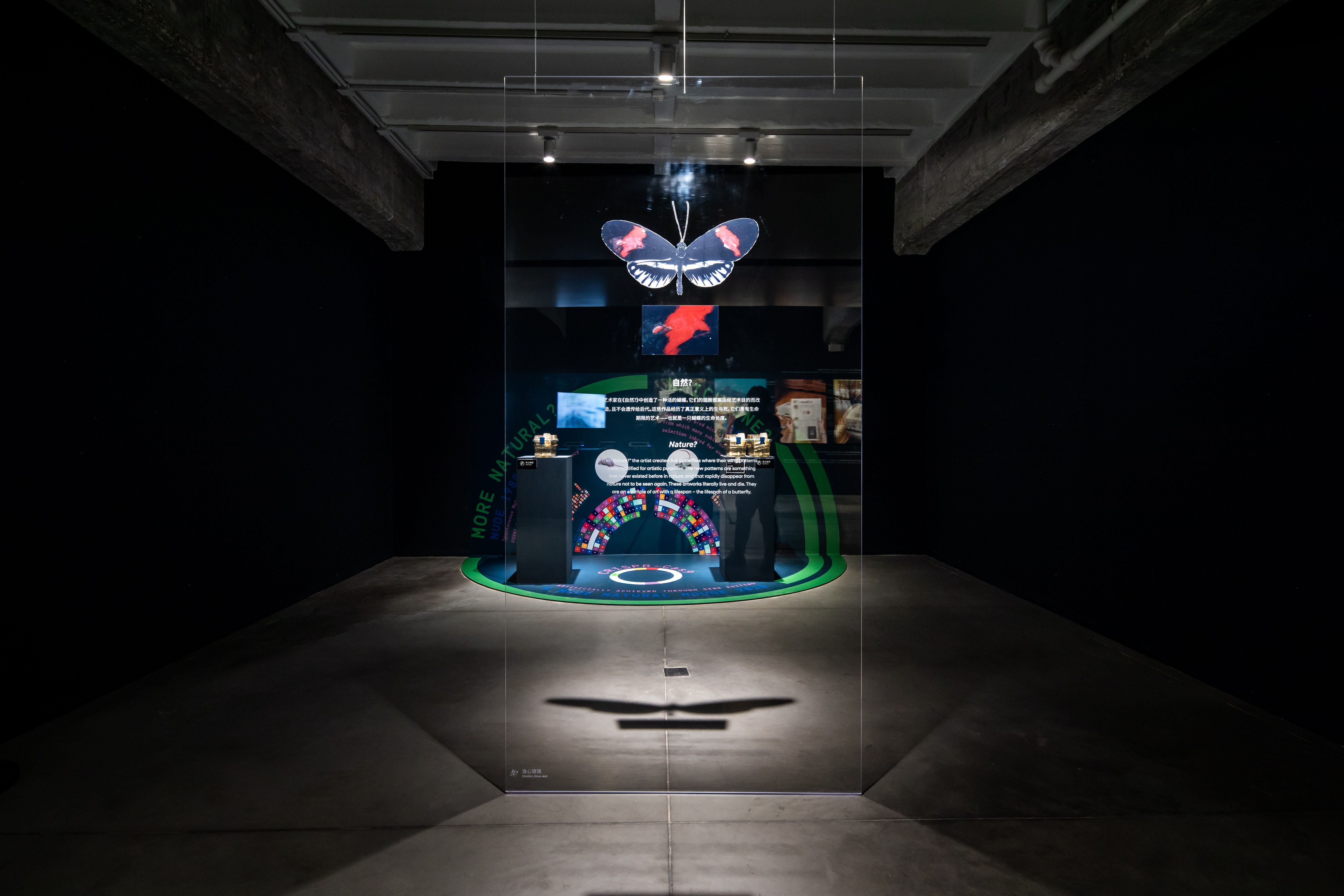 Artistic display questioning what is natural with laboratory equipment.