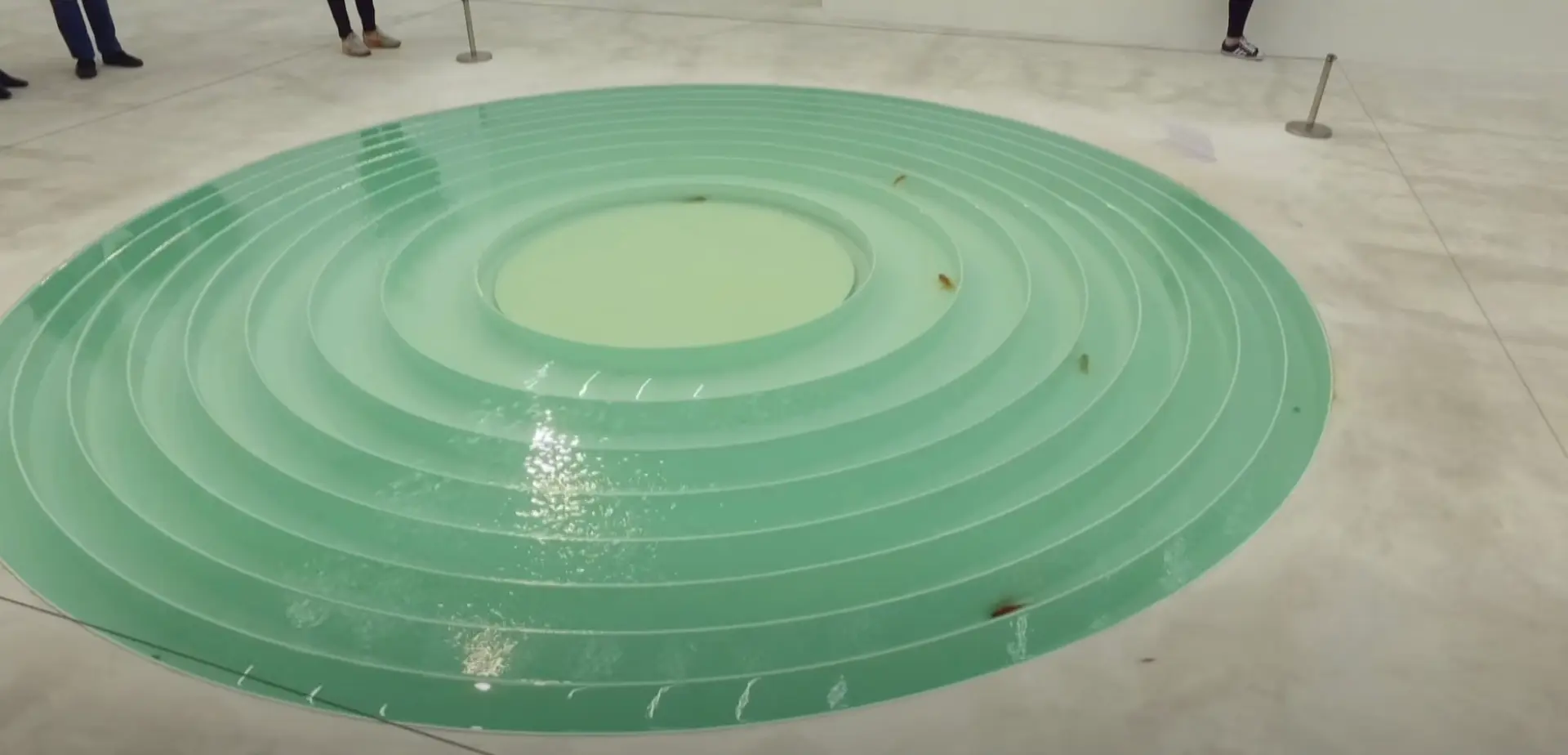 An art installation on a gallery floor features multiple overlapping circles in varying shades of green.
