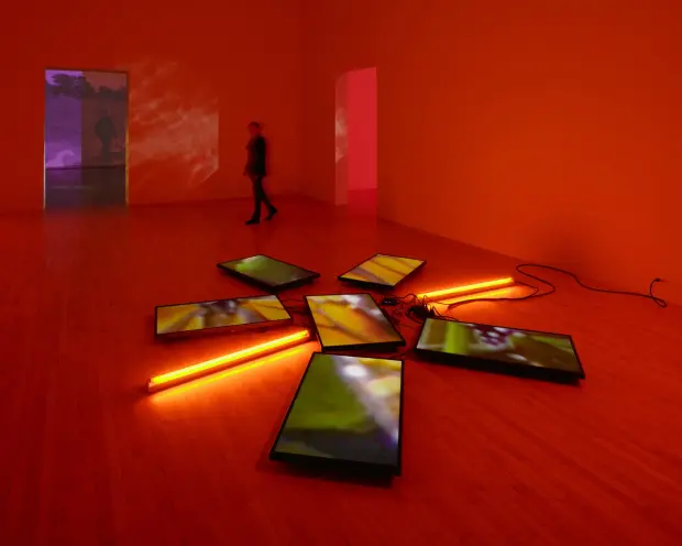 Seven screens arranged on a showroom floor display various nature scenes under the glow of red neon lights. A figure is se...