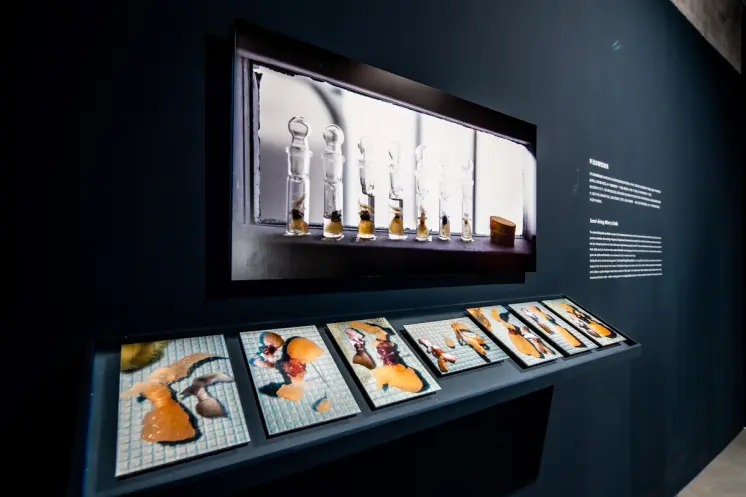 Glass vials with samples and description of "Semi-living Worry Dolls."