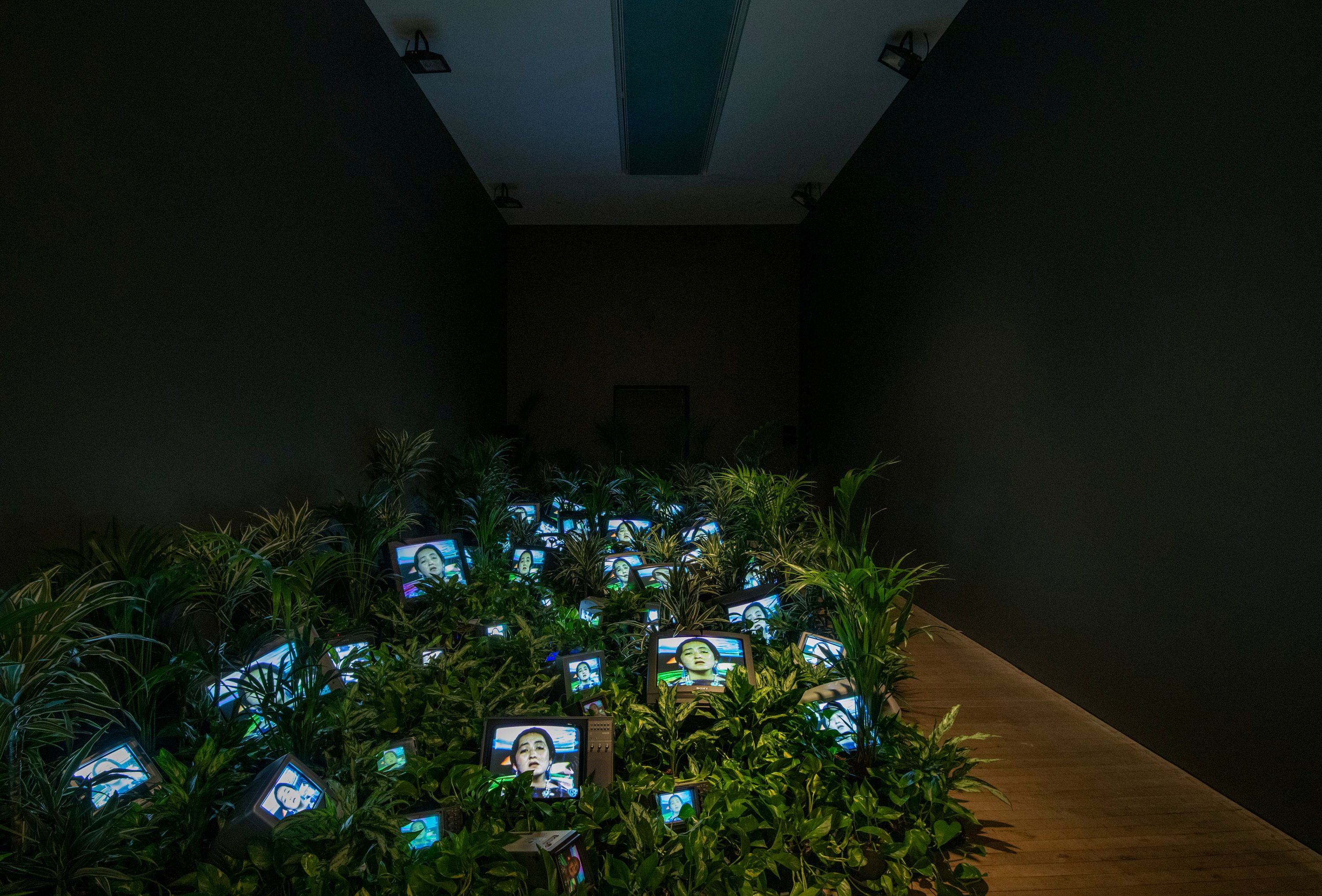 Multiple computer screens scattered amidst lush greenery in a dimly lit room with polished wooden flooring. The screens di...
