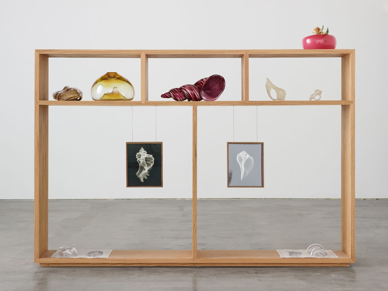 A wooden display shelf with a collection of various objects and hanging images, prominently featuring a seashell theme, at...