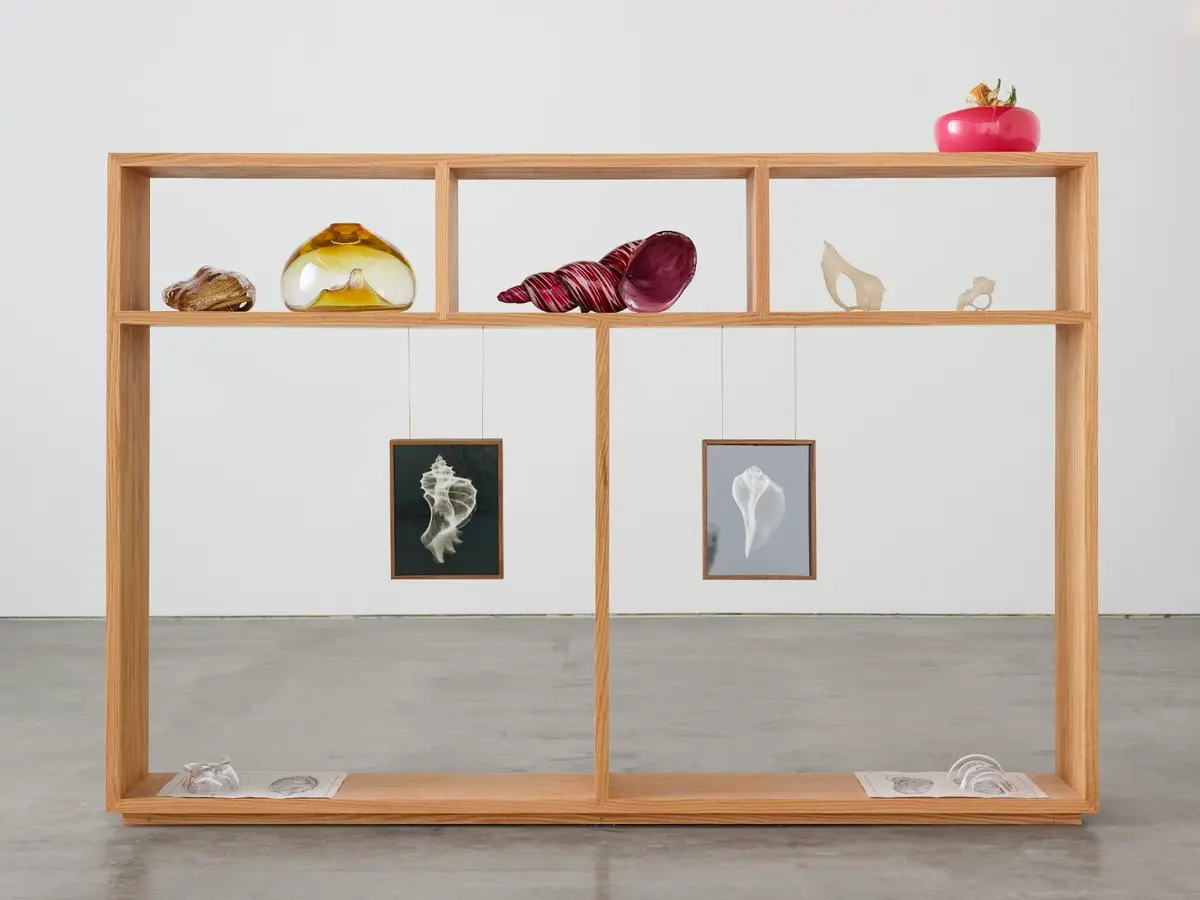 A wooden display shelf with a collection of various objects and hanging images, prominently featuring a seashell theme, at the François Ghebaly Gallery in Los Angeles.