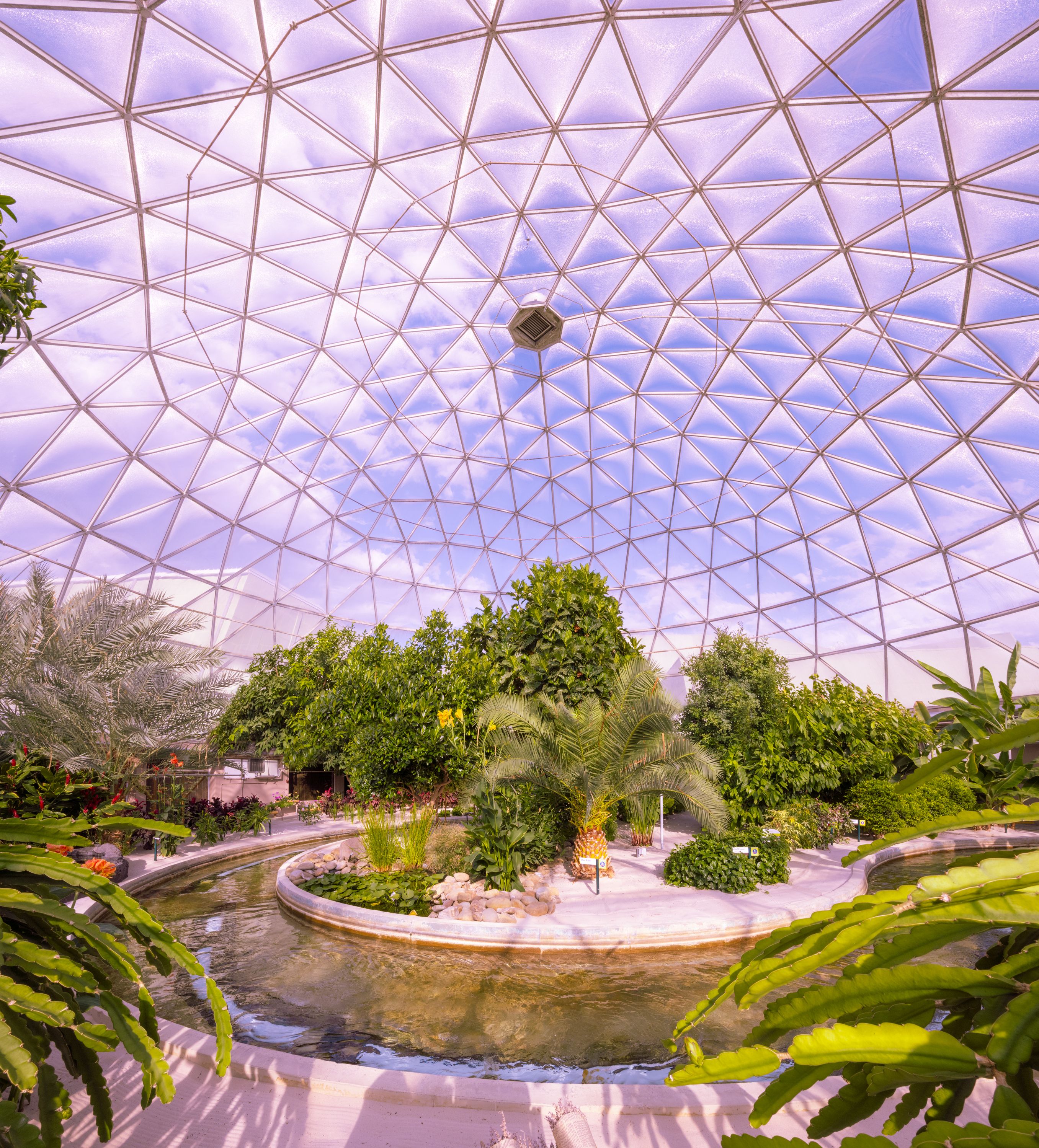 A geodesic dome enclosing a lush indoor garden with a water feature under a pink-tinted sky.