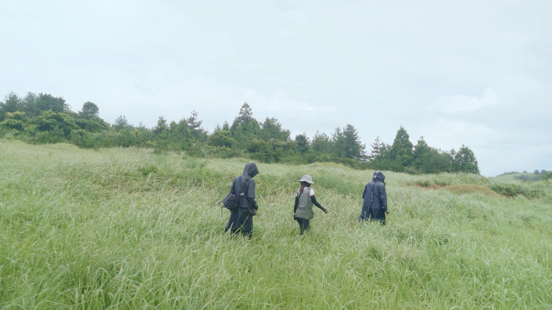 Three people walk through a vast, green field under an overcast sky, surrounded by tall grass and trees.