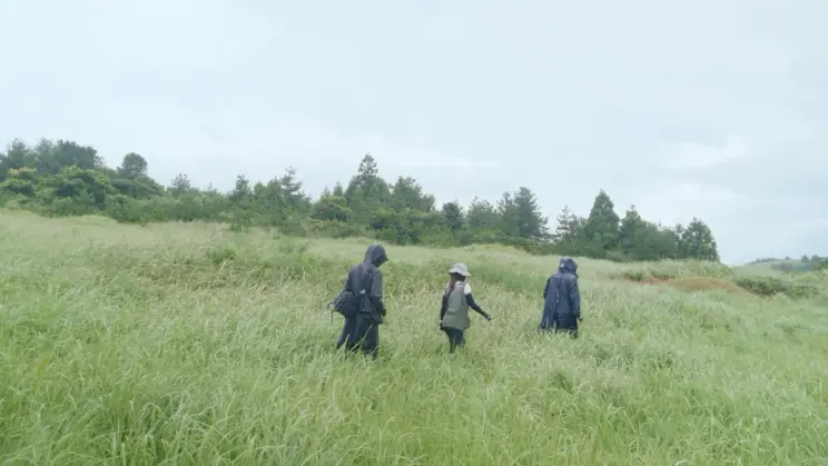 Three people walk through a vast, green field under an overcast sky, surrounded by tall grass and trees.