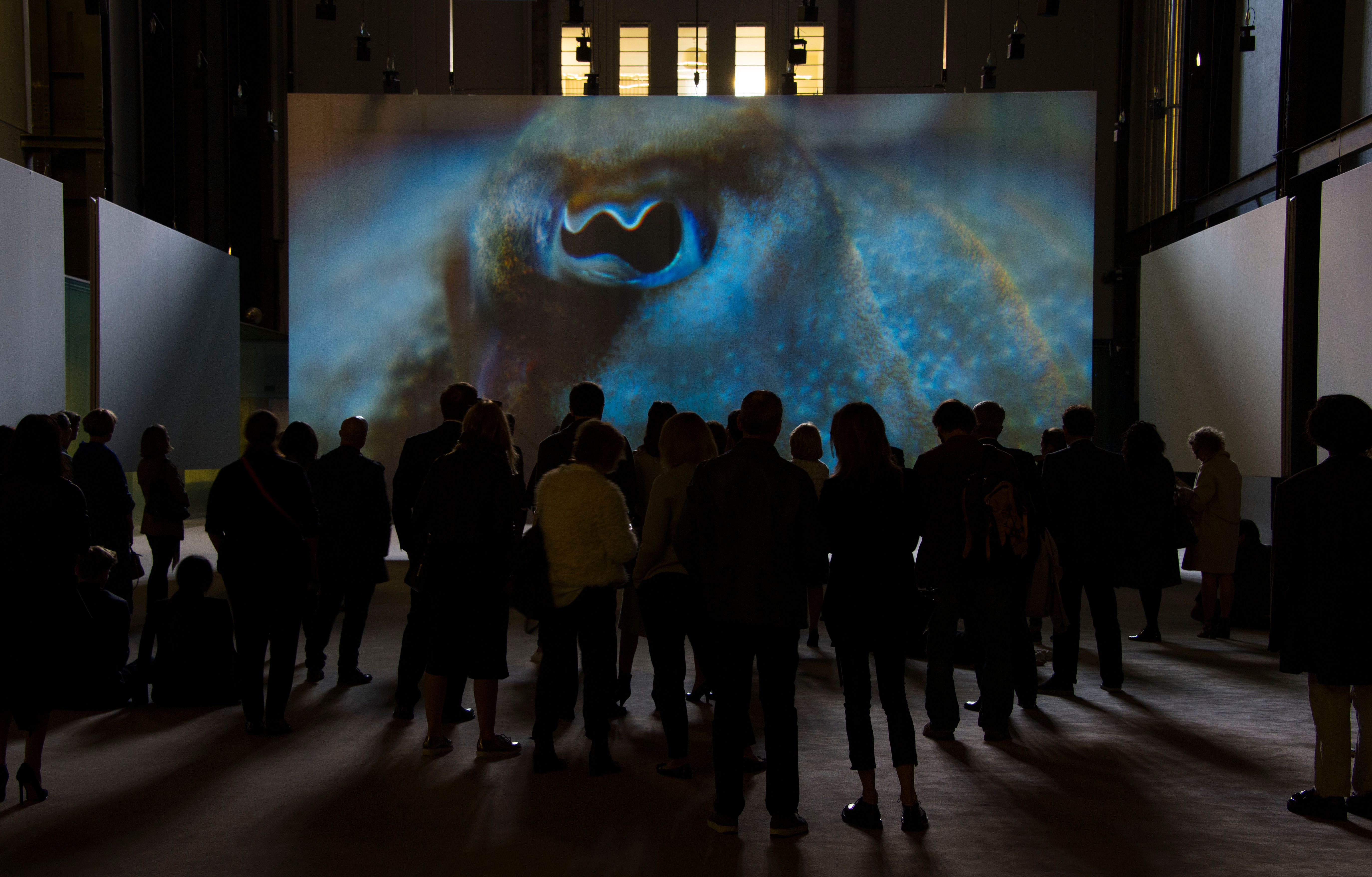 A group of people in a dimly lit gallery hall in Tate Modern, intently watching a screen displaying an image of an unident...
