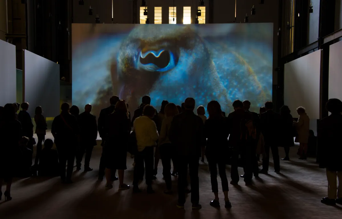 A group of people in a dimly lit gallery hall in Tate Modern, intently watching a screen displaying an image of an unidentified marine animal.