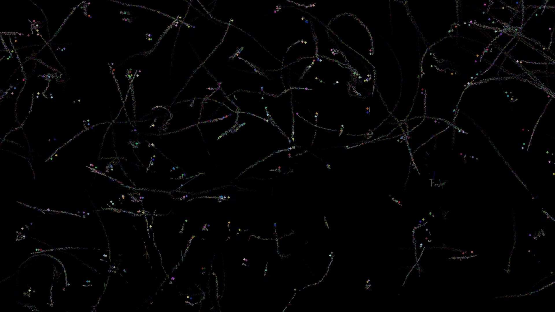 Thin multicolored light trails scattered across a black background.