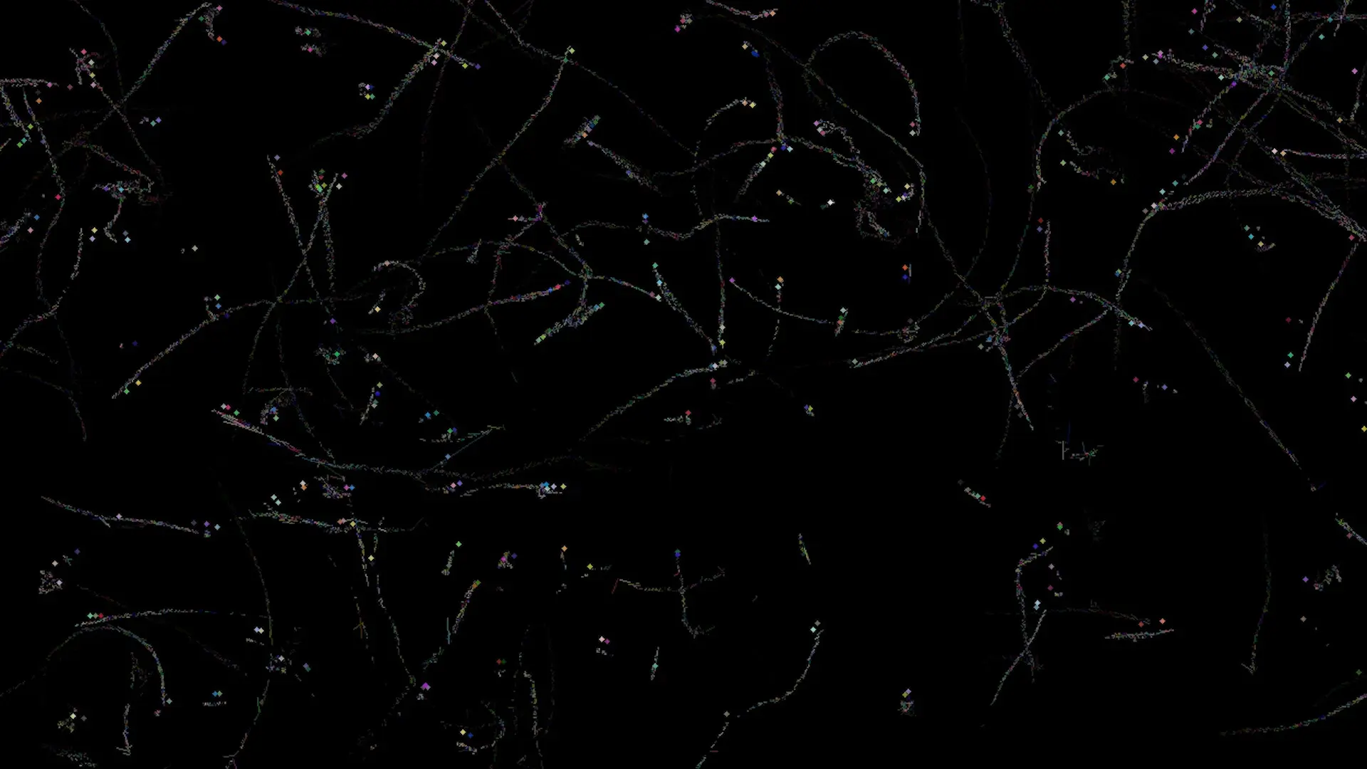 Thin multicolored light trails scattered across a black background.