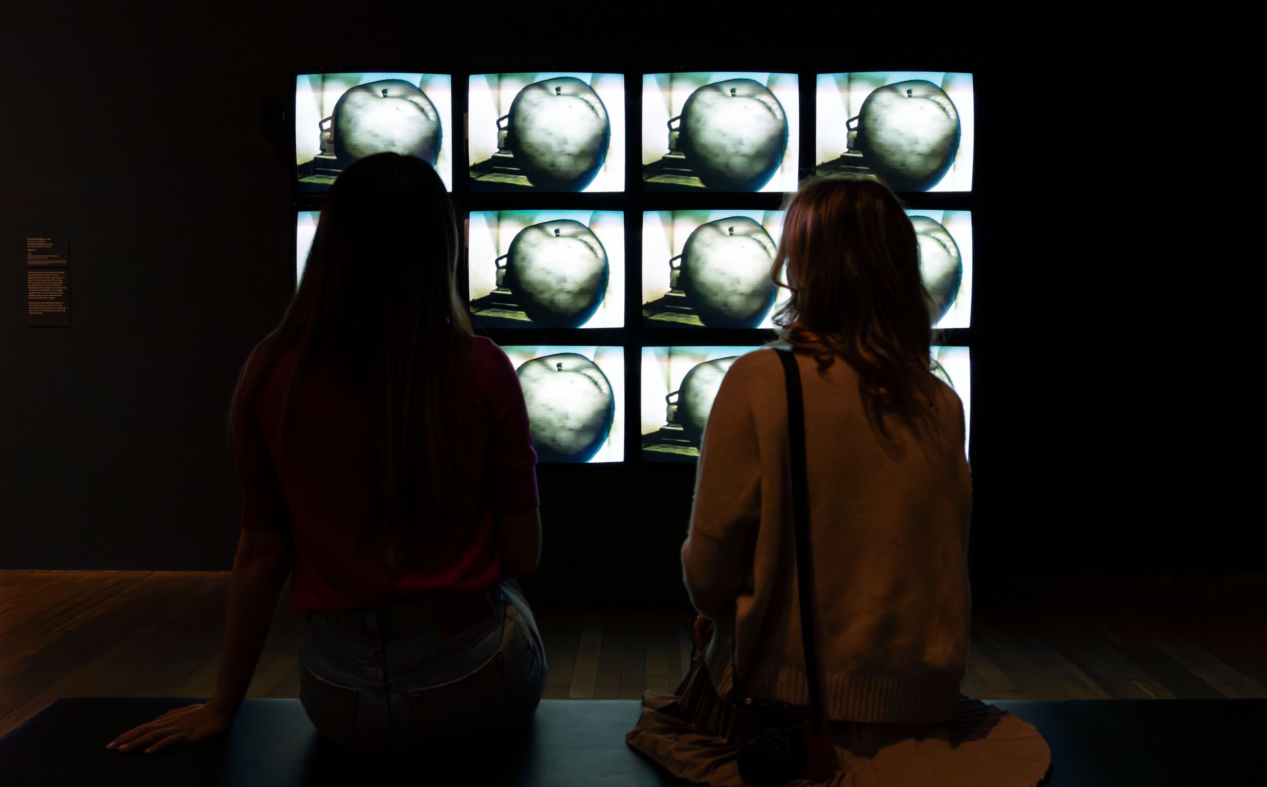 Two women sit in a dark gallery facing a video installation composed of twelve monitors arranged in a grid. Each screen di...