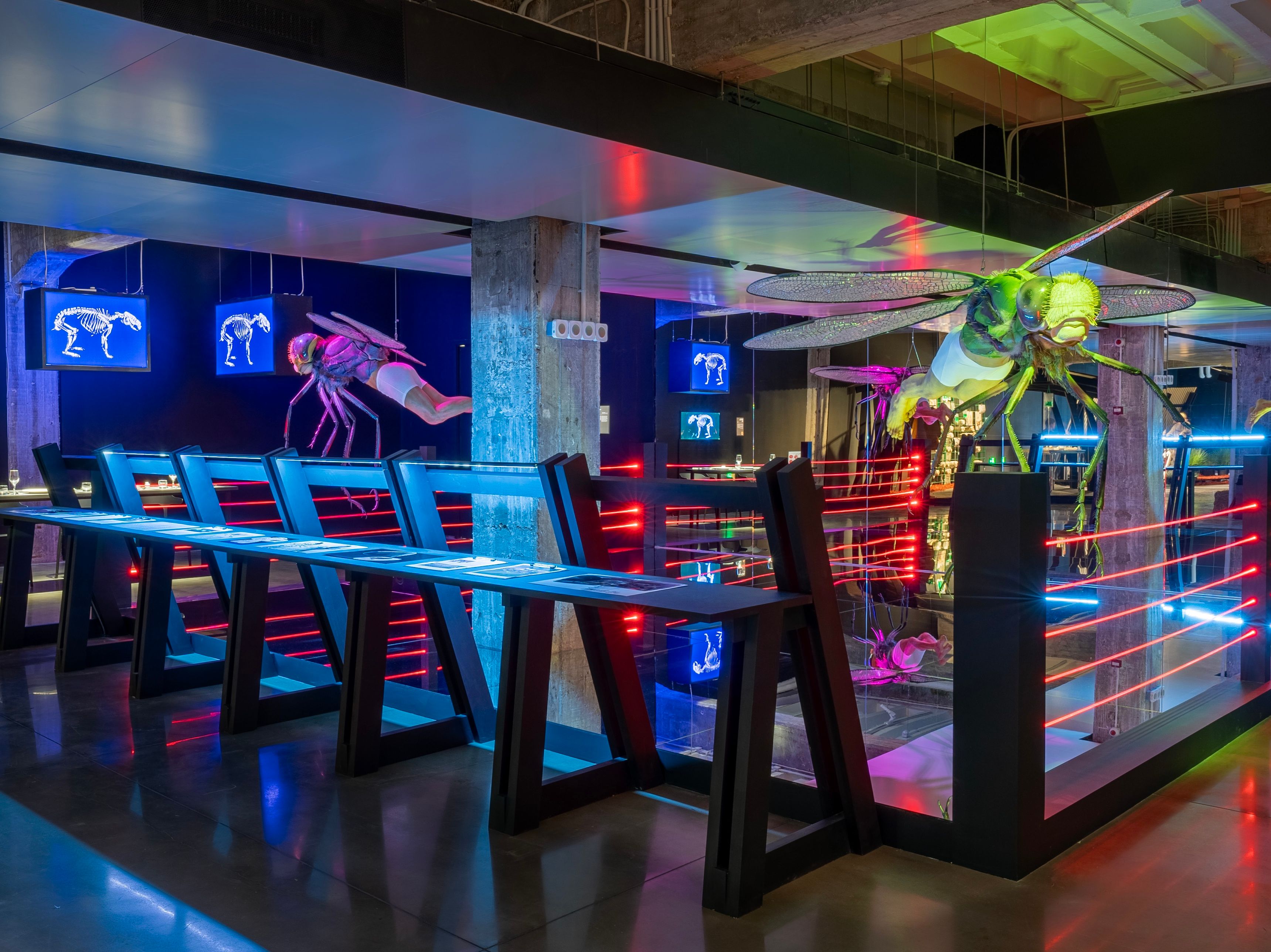 Interactive exhibit with neon lights, tables, and oversized insect models.