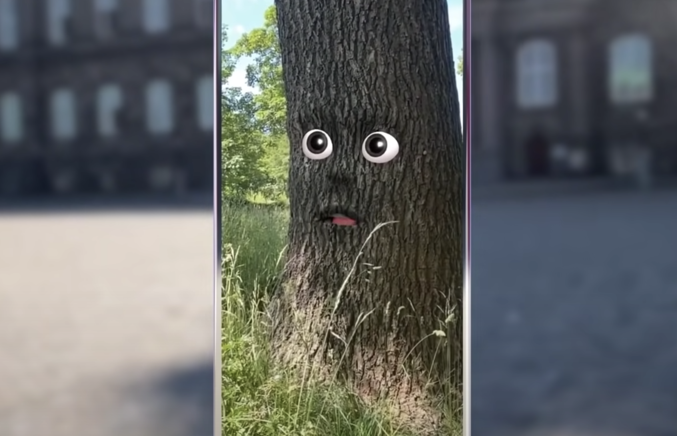 An illustrated tree with eyes and a mouth expressing amusement is superimposed onto a blurry image of weathered architectu...