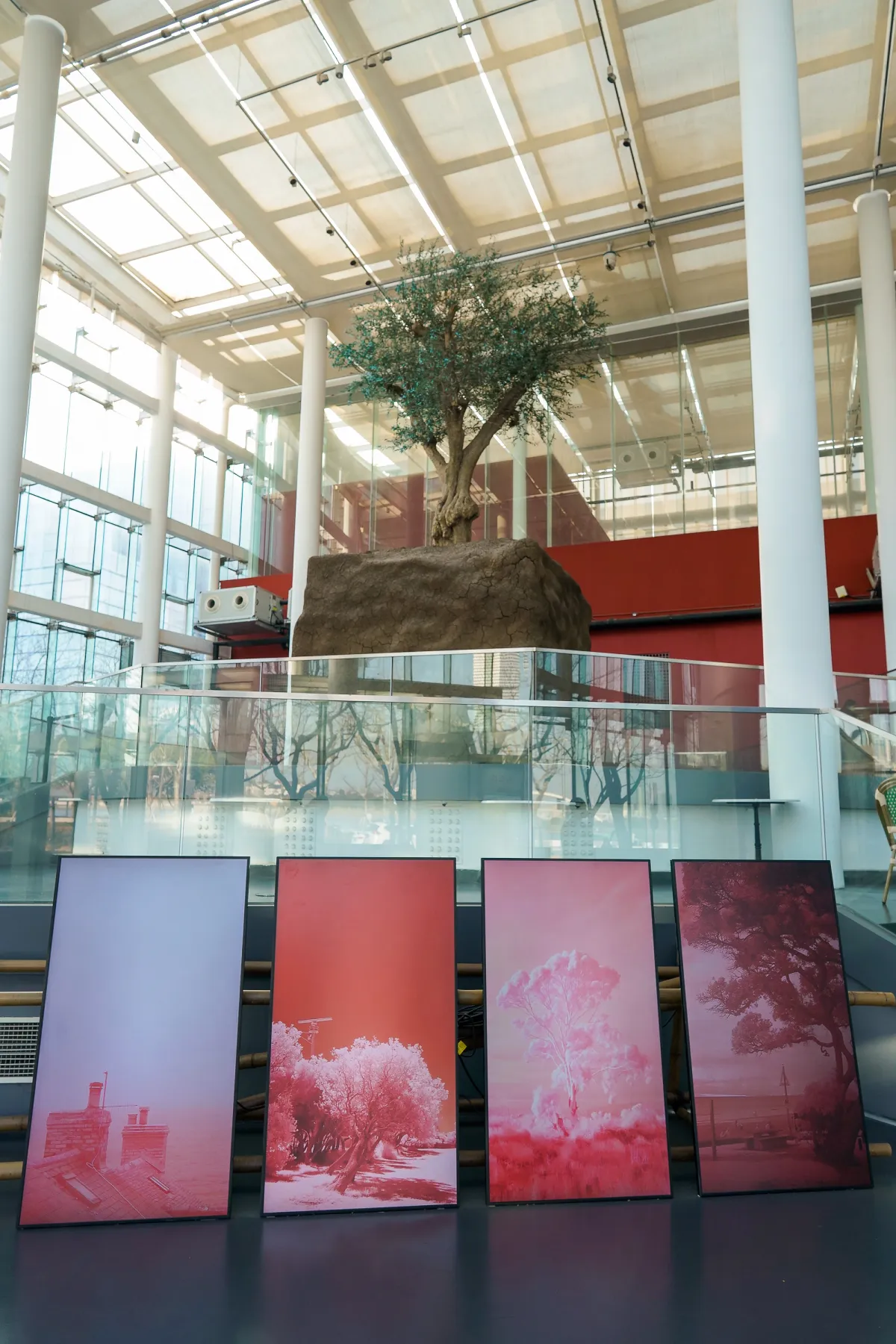A gallery hall displaying an art installation featuring a tree planted in a soil cube in the middle. Framed art photographs of trees with a pink filter are showcased in the foreground.