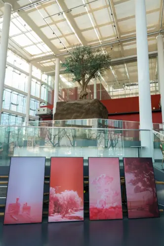 A gallery hall displaying an art installation featuring a tree planted in a soil cube in the middle. Framed art photograph...