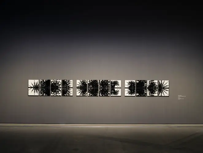 A row of twelve black and white images, each featuring undefined shapes, neatly divided into quarters.