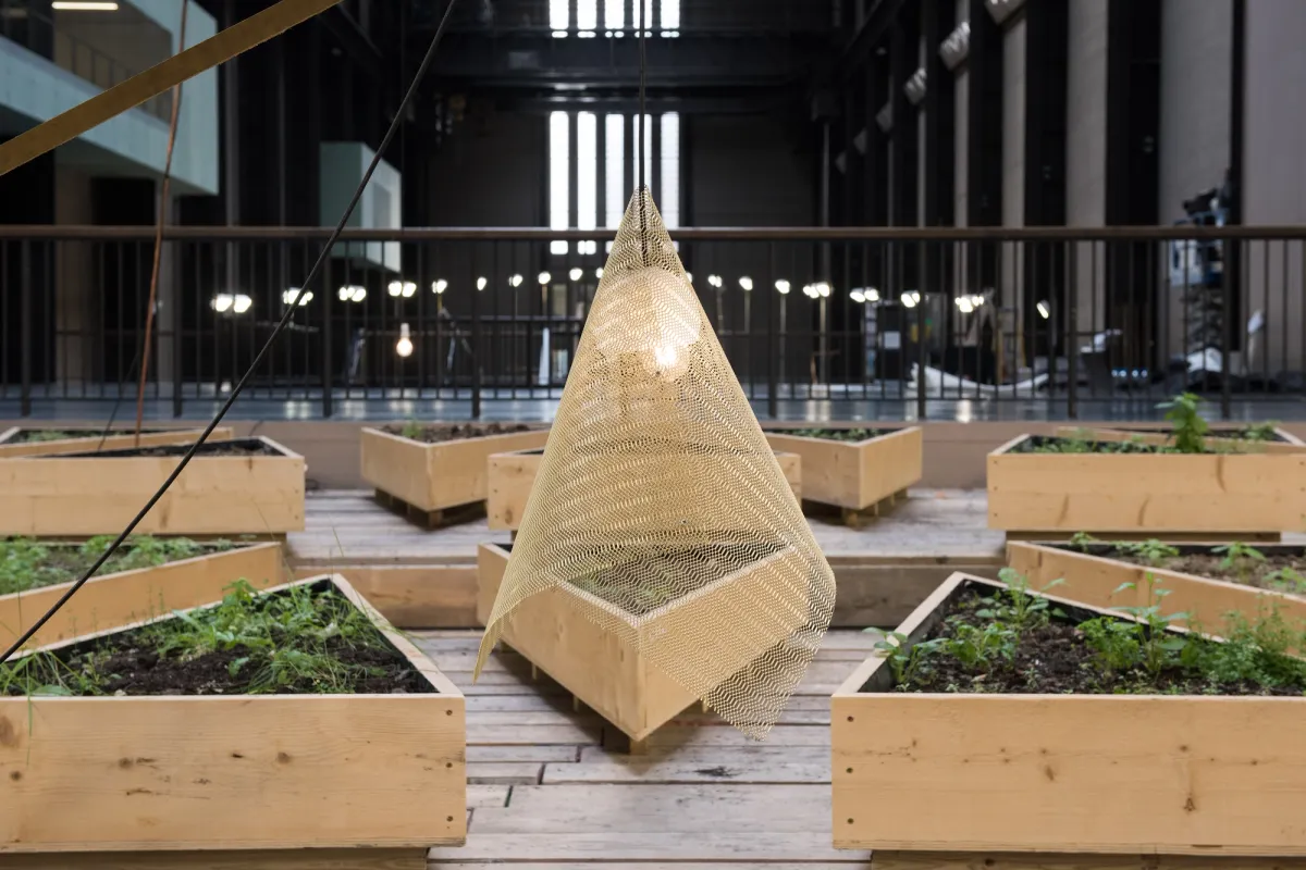 Large triangular wooden plant boxes arranged in a gallery hall with a yellow net cone covering a lit bulb atop one box.