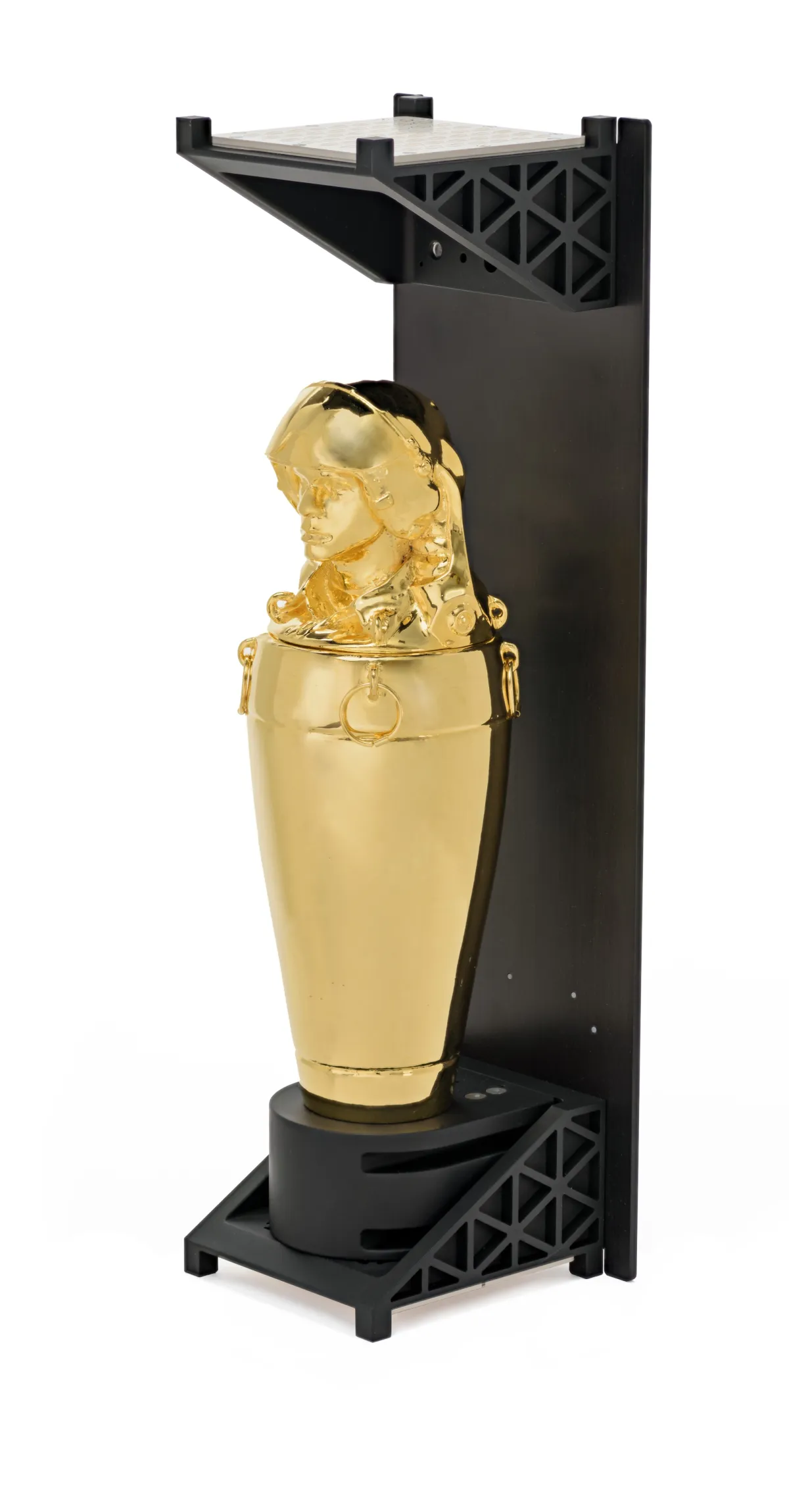 A gold statue is housed within a black display unit. It is in a setting that suggests a professional lab or gallery environment.