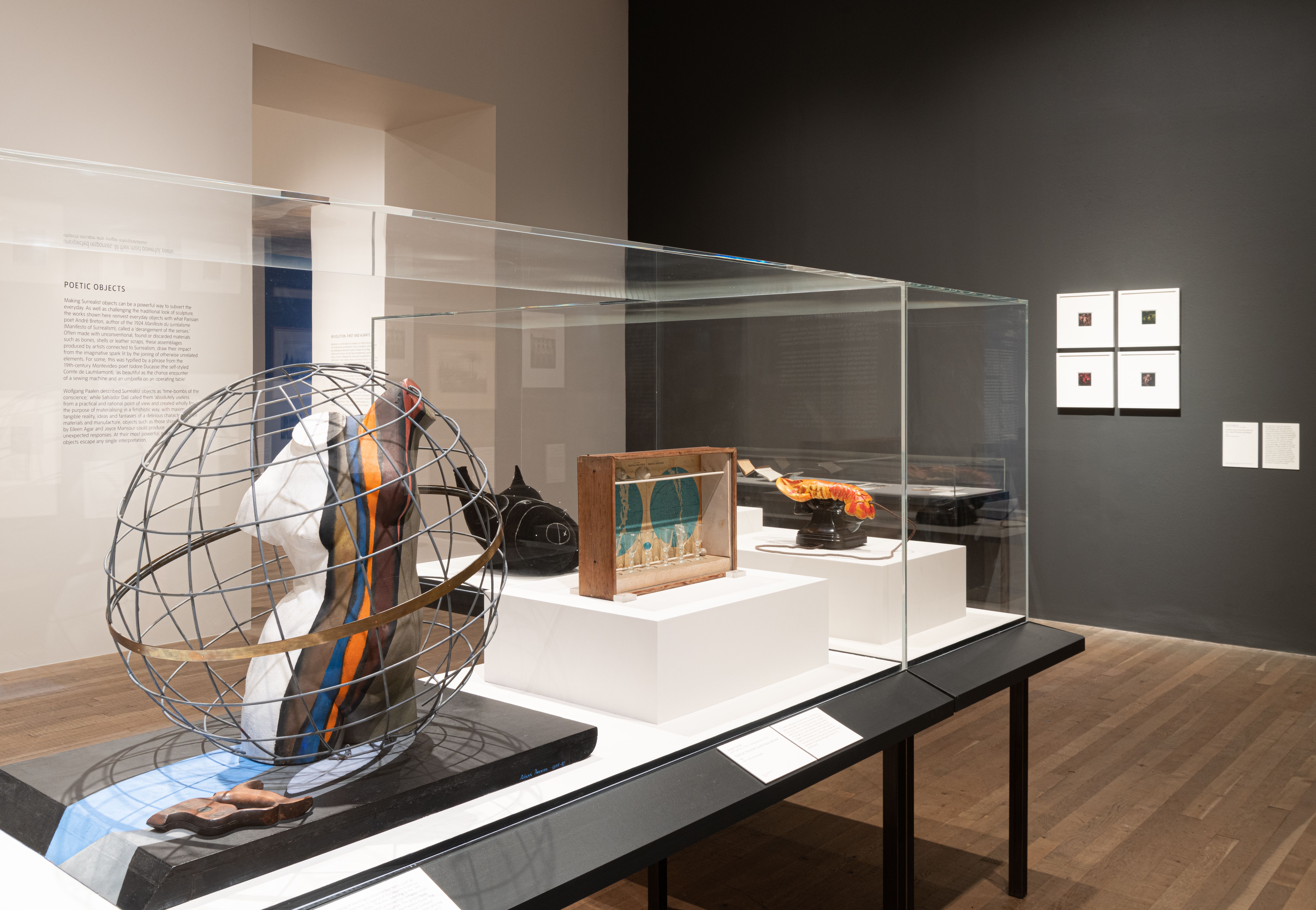 A netted iron sphere housing a multicolored body sculpture is on display in a gallery room, encased in glass. Additional a...