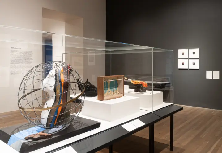 A netted iron sphere housing a multicolored body sculpture is on display in a gallery room, encased in glass. Additional a...