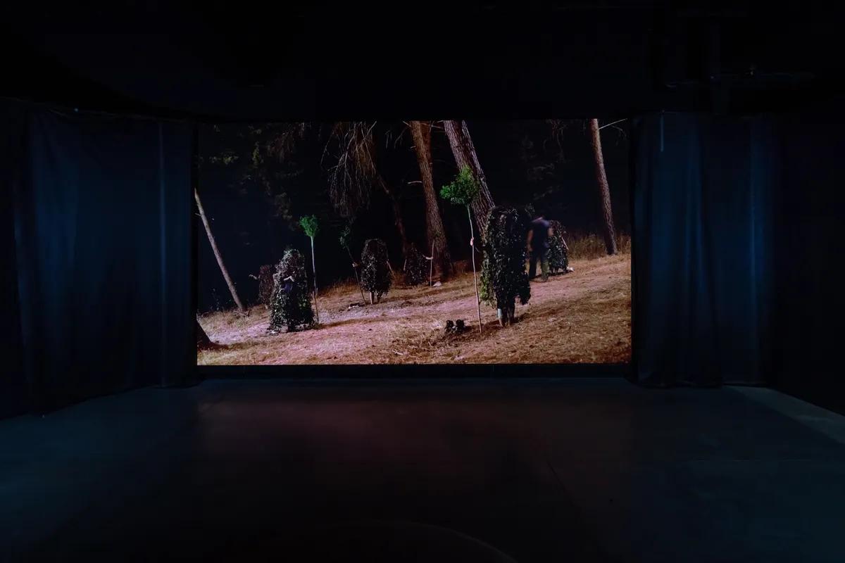 A nighttime forest scene is projected across a dark gallery space, filling the room with the silhouettes of towering trees...