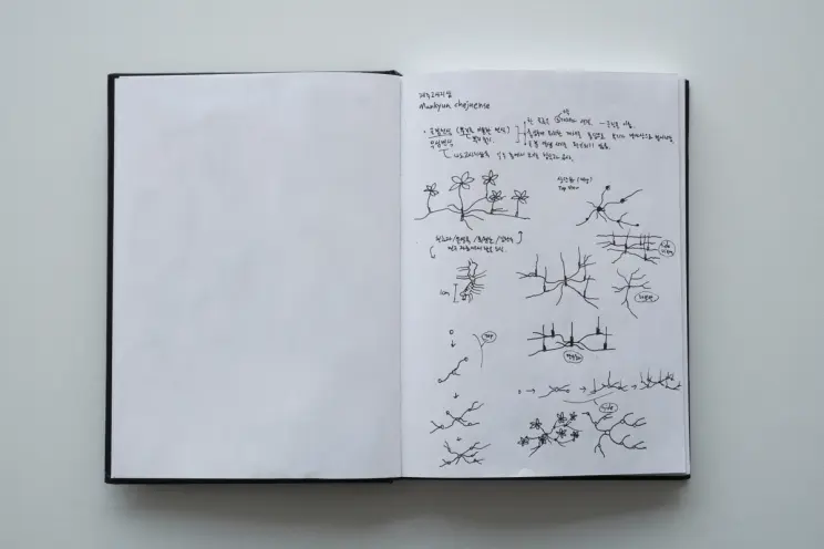 A sketchbook page showing botanical illustrations and notes in Korean, including diagrams of plant growth and branching structures.