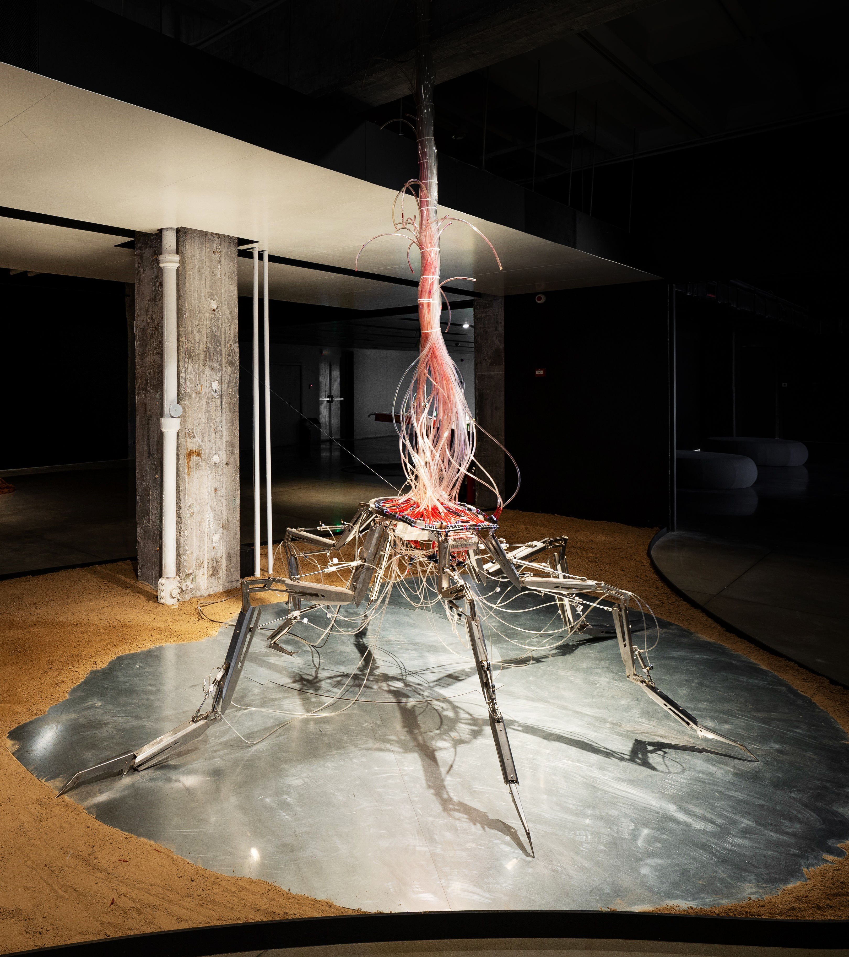 Industrial-style installation with a complex robotic sculpture on a shiny floor.