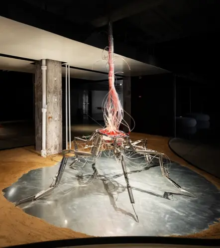 Industrial-style installation with a complex robotic sculpture on a shiny floor.