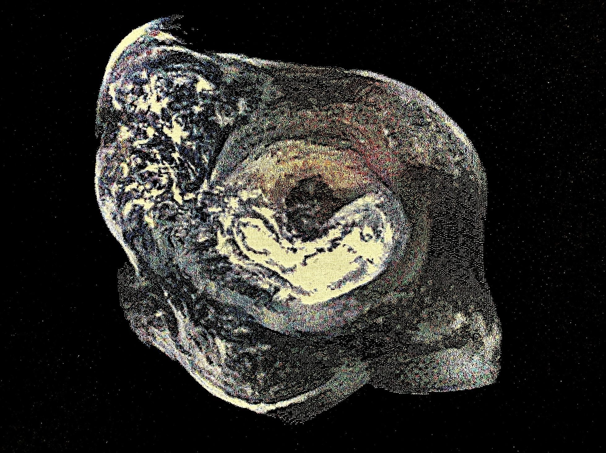 A distorted, textured image resembling the Earth with swirling patterns and deep shadows.
