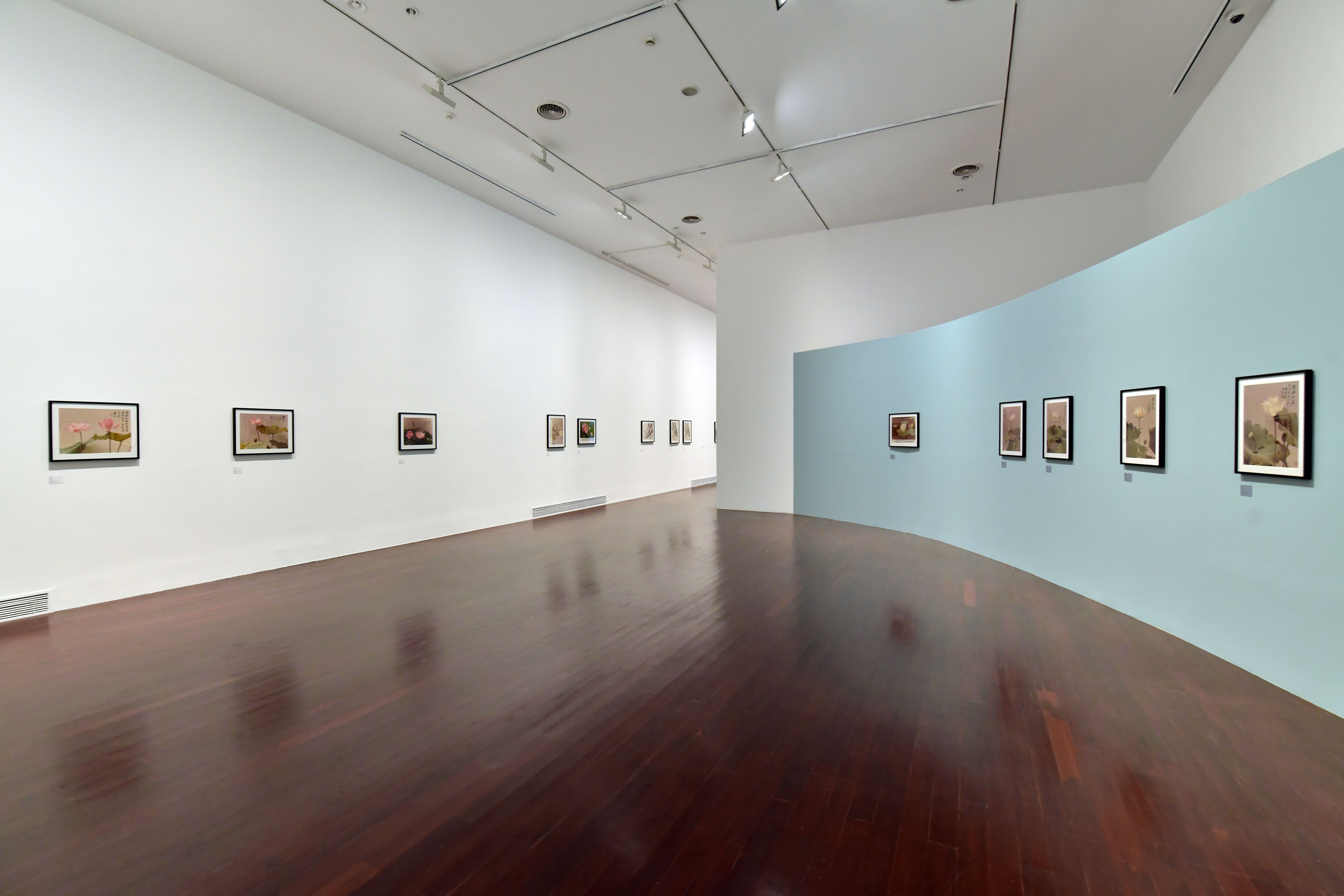 A gallery room with wooden floors displaying framed photos of Japanese cherry blossoms on a white wall.