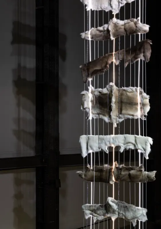 Vertically stacked animal hides hang in a tall column, threaded with chains and illuminated rods, inside a dark gallery space.