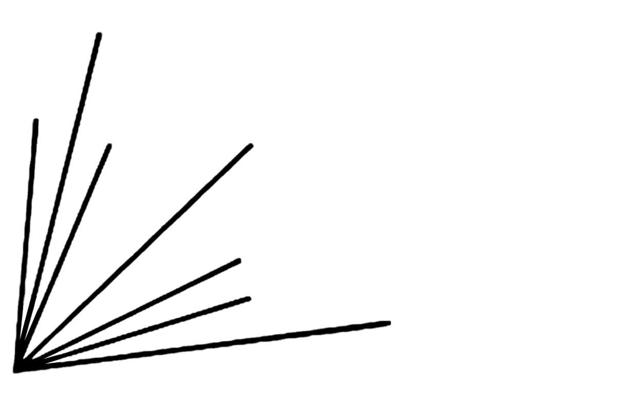 Various line segments radiating at different angles from the bottom left corner of the image.