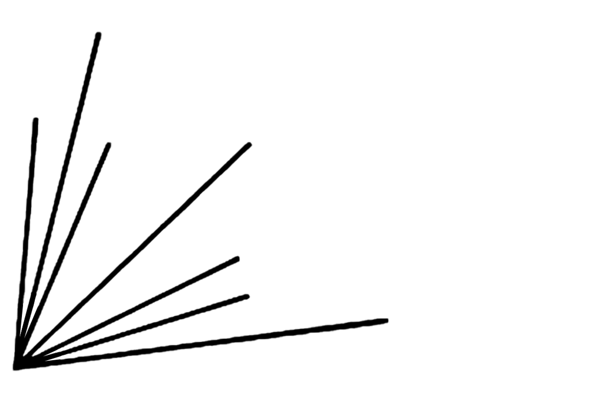 Various line segments radiating at different angles from the bottom left corner of the image.
