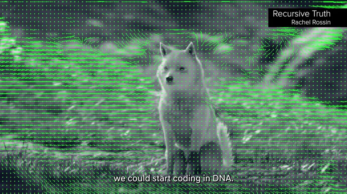 A digital art piece showing a white dog set against a natural backdrop, altered with green dots and lines. Text "Recursive Truth, Rachel Rossin" is seen in the top right corner, and "we could start coding in DNA" is at the bottom.