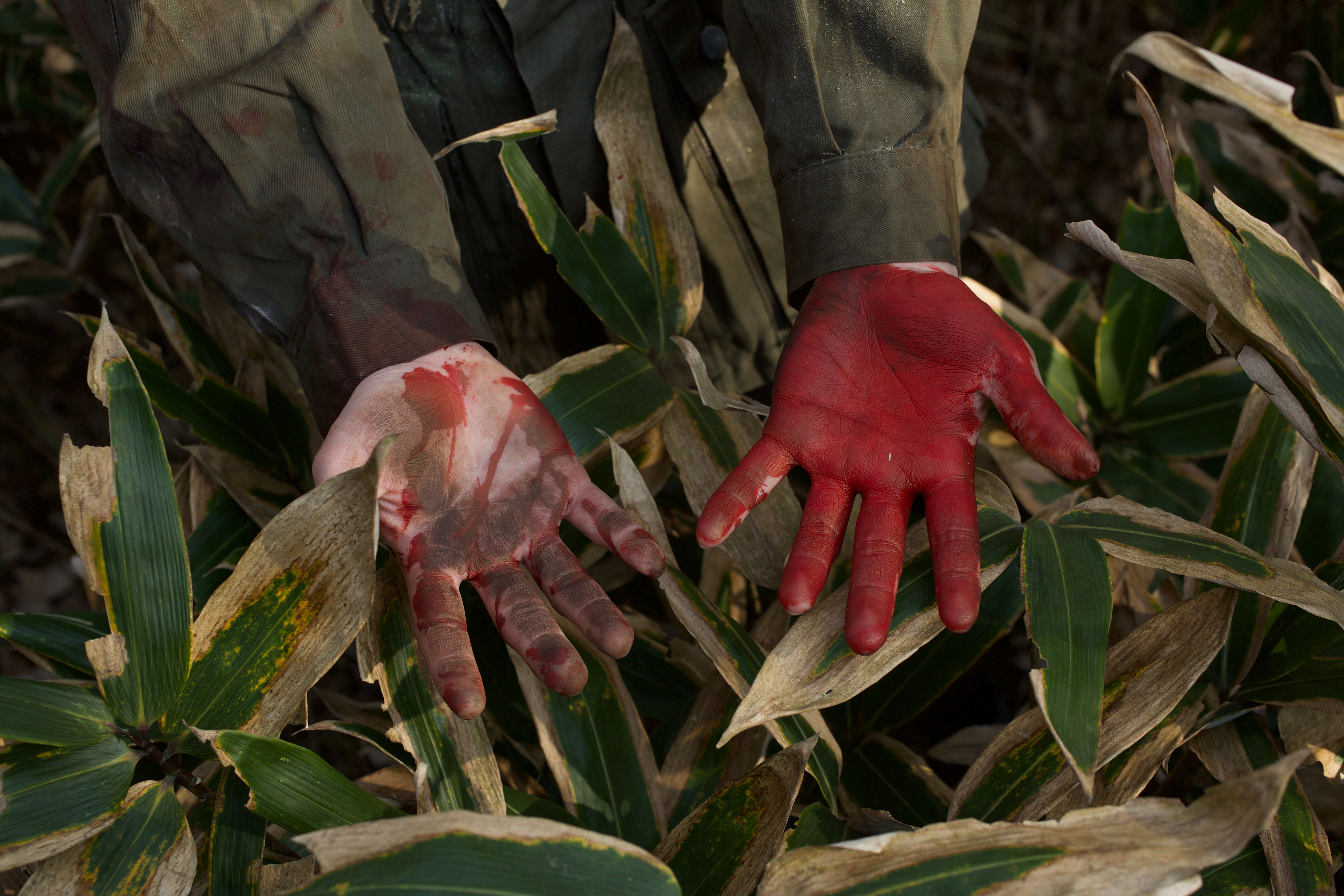 Two hands are shown from a bird's eye view, one fully painted in red and the other with red smears, resembling blood. The ...