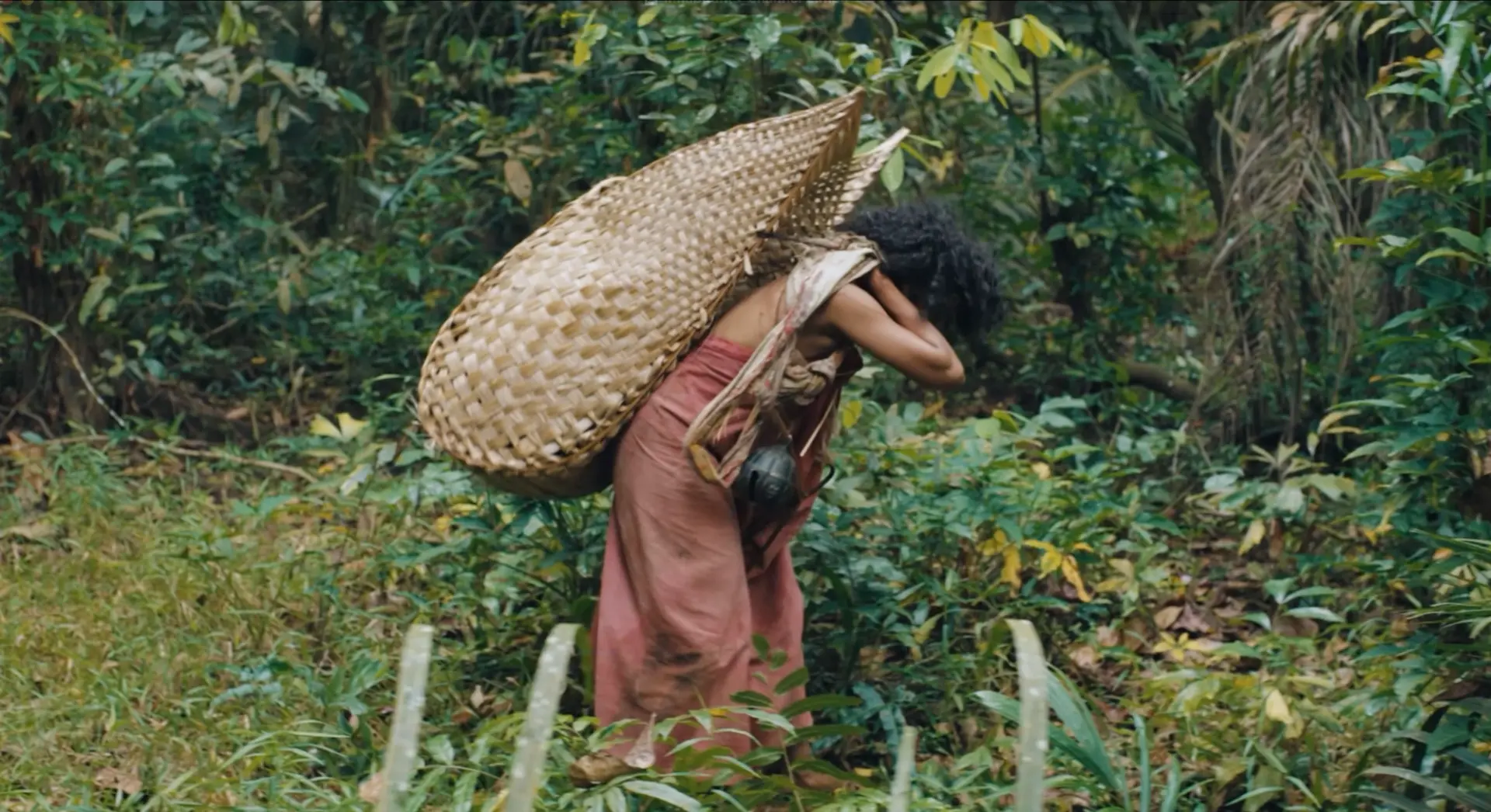 A person in a red wrap carries a large woven basket on their back while walking through dense jungle undergrowth.