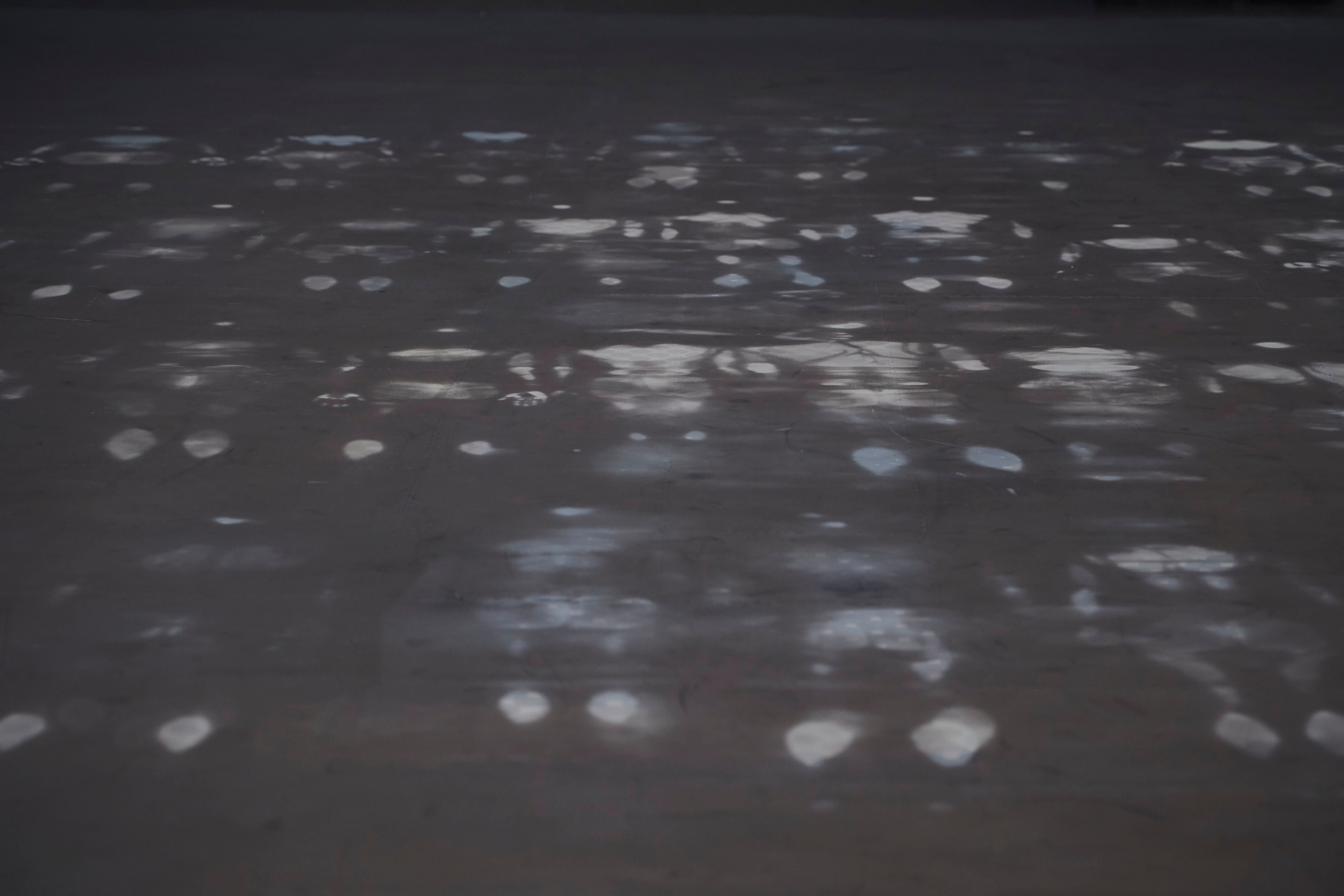 White chalk outlines of individuals lying down, arranged neatly in four straight rows on a smooth, grey floor.