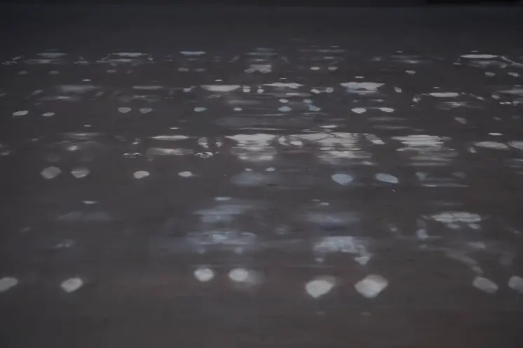 White chalk outlines of individuals lying down, arranged neatly in four straight rows on a smooth, grey floor.