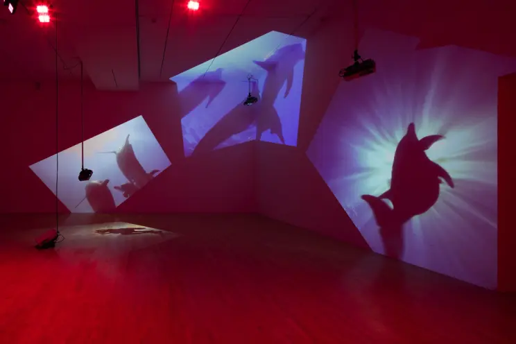 A dark, red-tinted room displays projected images of dolphins swimming in water on its walls, contributing to a vivid and ...