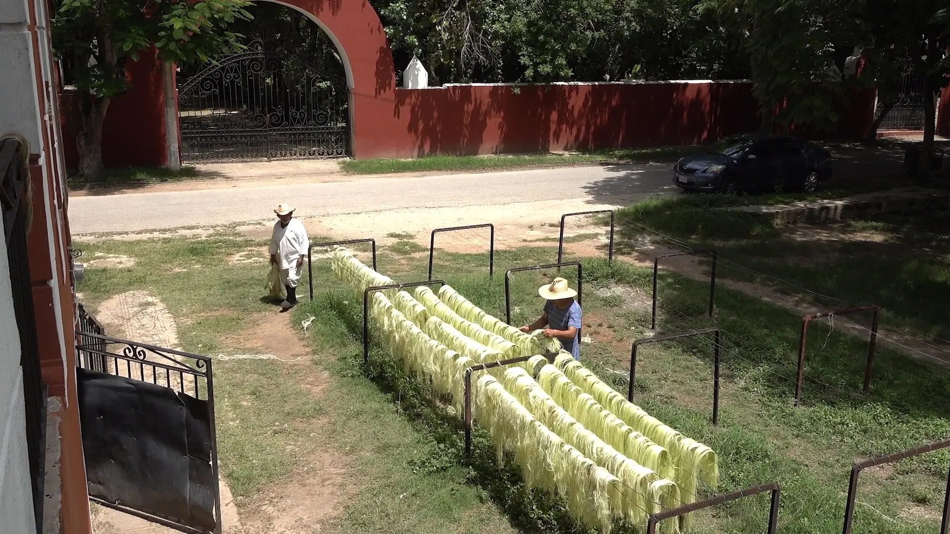 Two people drying agave outdoors, one walking by a gate, the other tending to the agave.