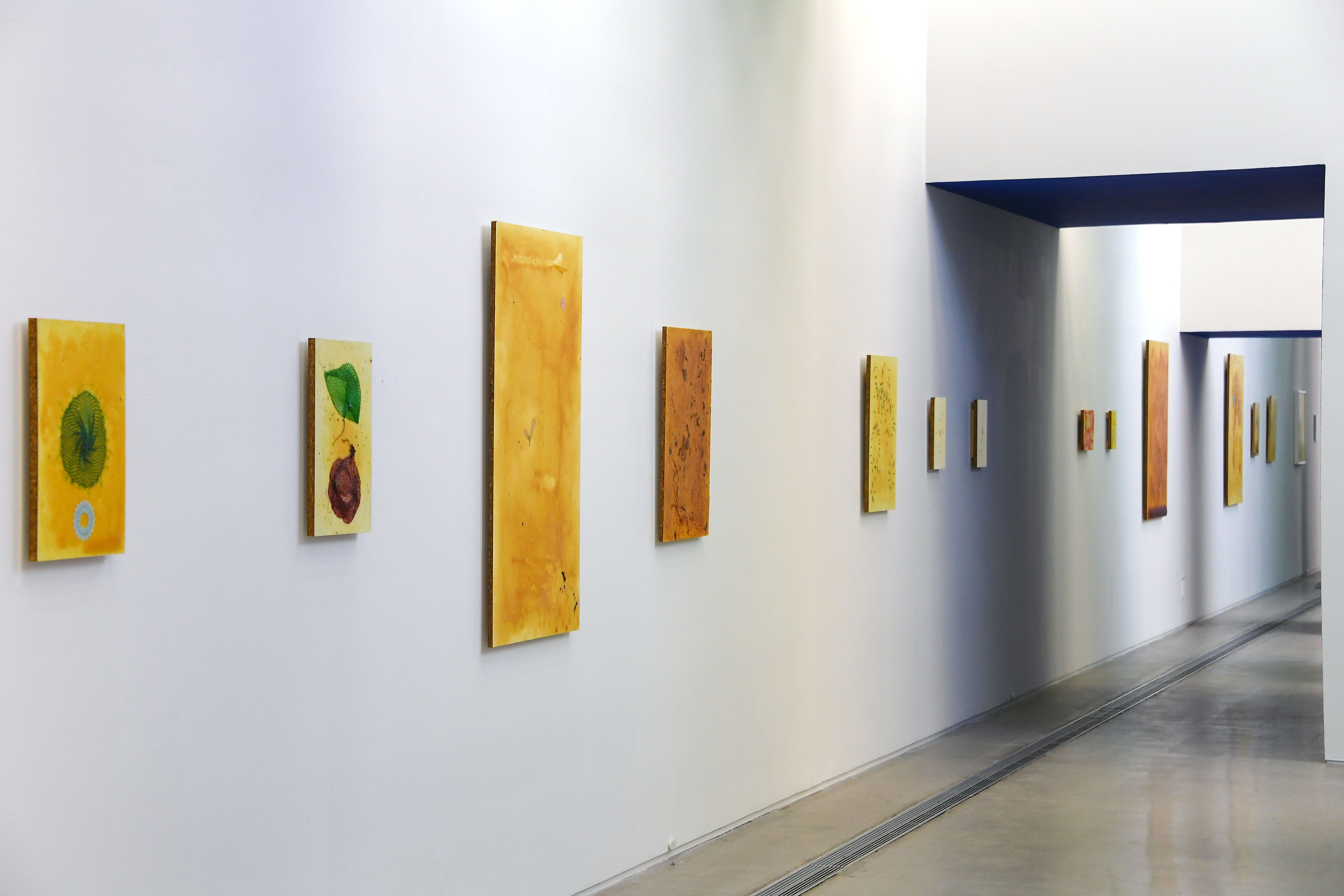 An exhibition wall displaying various sizes of vertically-positioned, rectangular canvas art pieces with dominating yellow...
