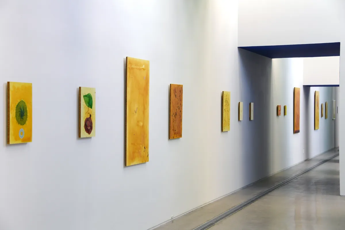 An exhibition wall displaying various sizes of vertically-positioned, rectangular canvas art pieces with dominating yellow hues.