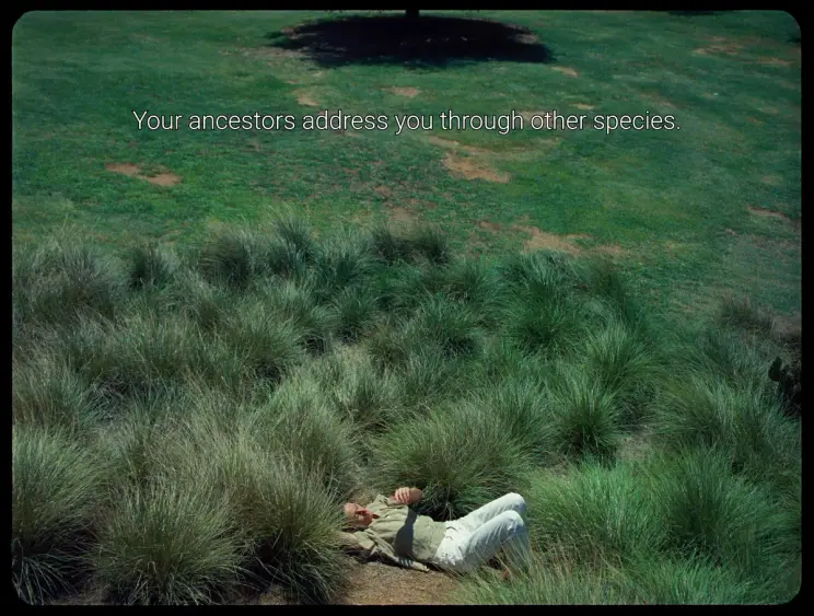 A person lying among tall grass with the caption, "Your ancestors address you through other species."