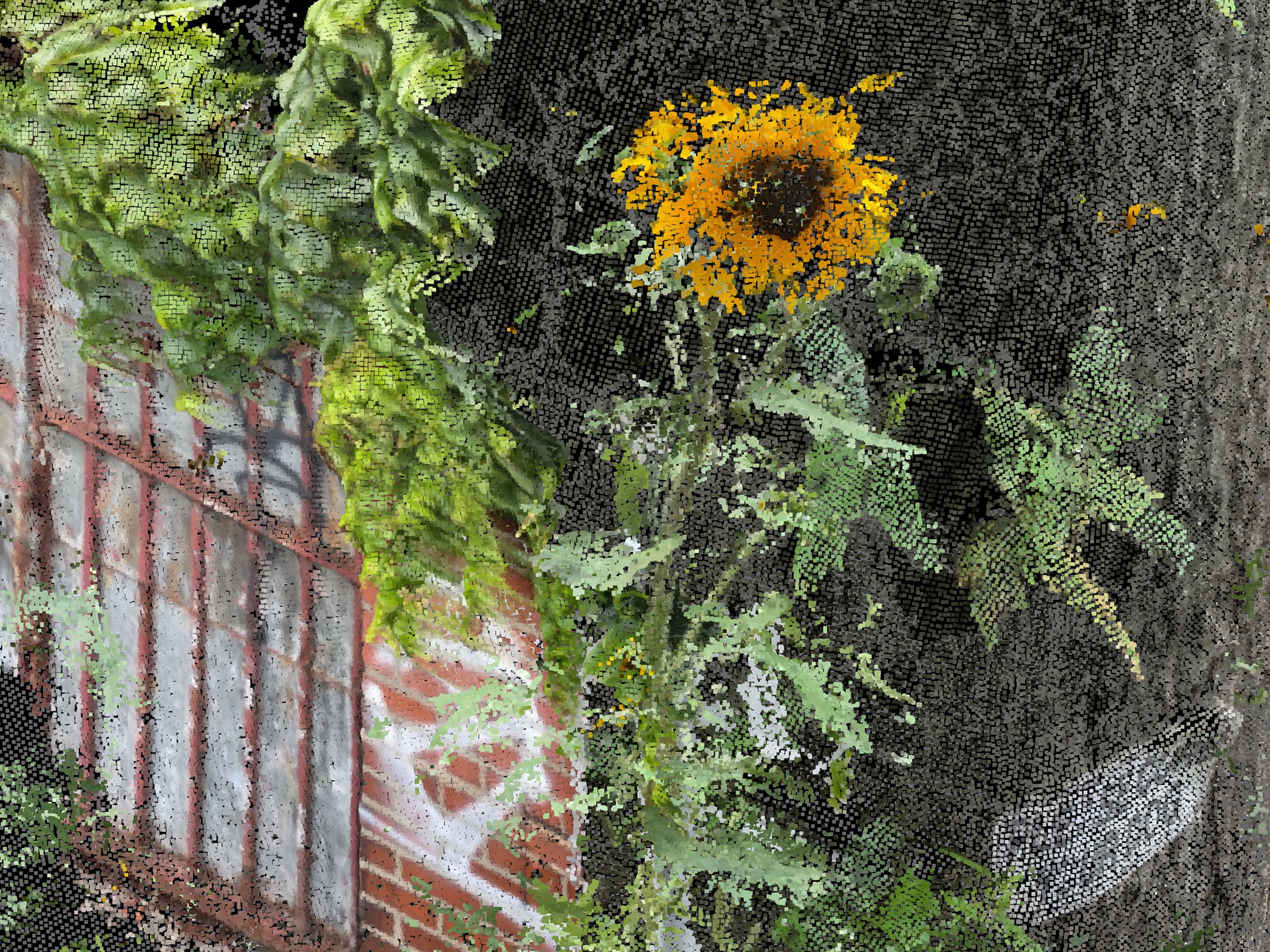 A stylized illustration featuring a sunflower and leafy green vines growing next to a weathered brick wall with a barred w...