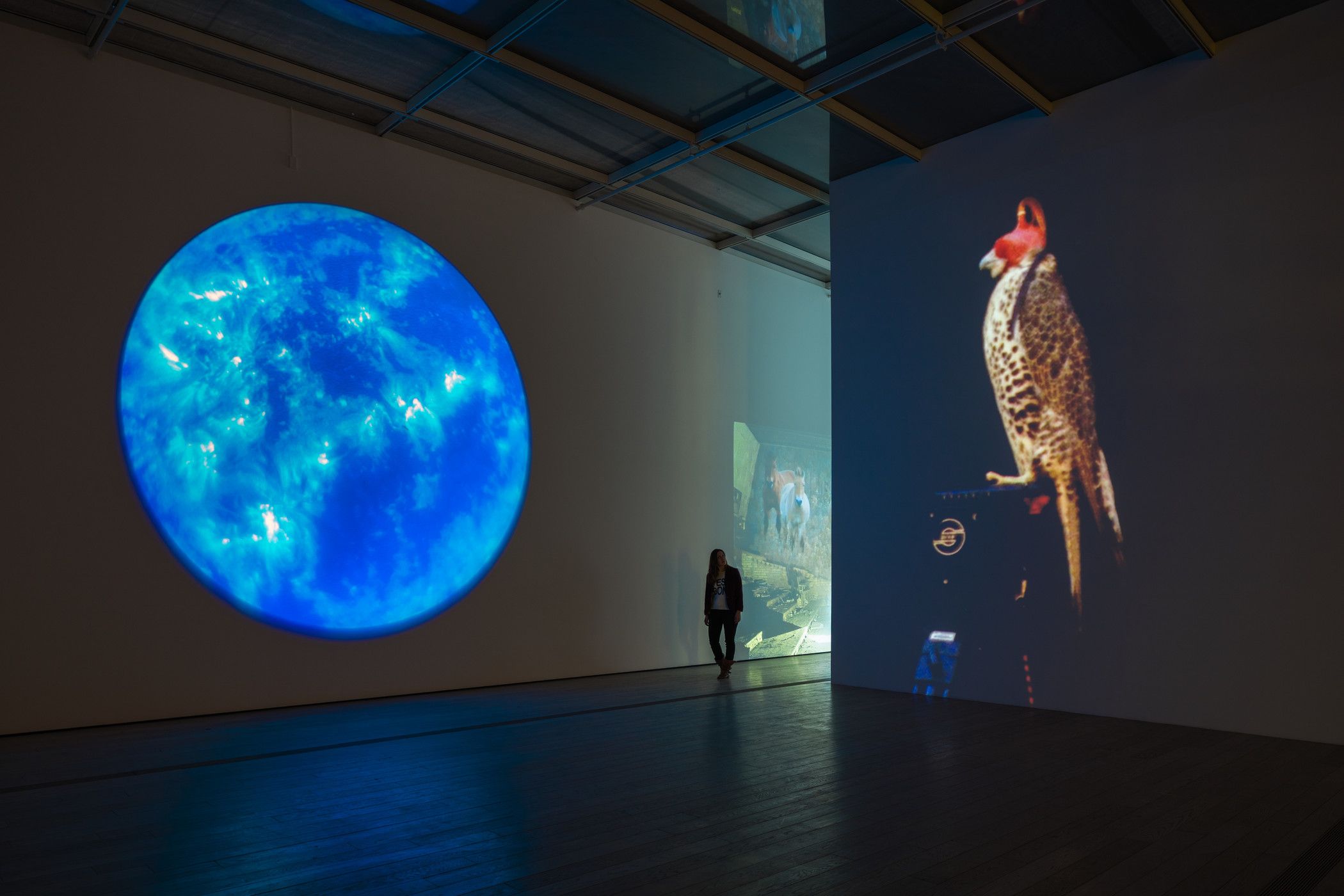 A person observing two artistic projections on a wall. One projection showcases an artistic representation of a moon, whil...