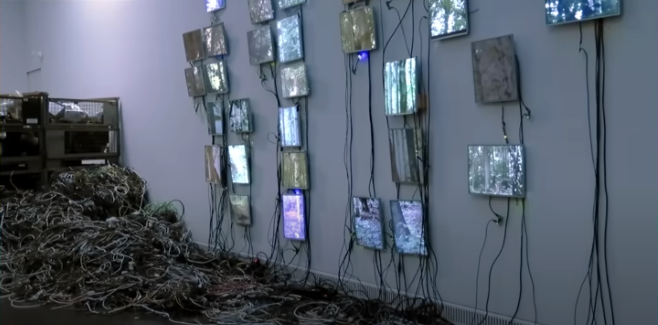 A multitude of display screens mounted on a wall showing distinct, vibrant forest images. A chaotic pile of cables or rope...