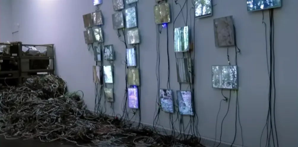 A multitude of display screens mounted on a wall showing distinct, vibrant forest images. A chaotic pile of cables or rope...