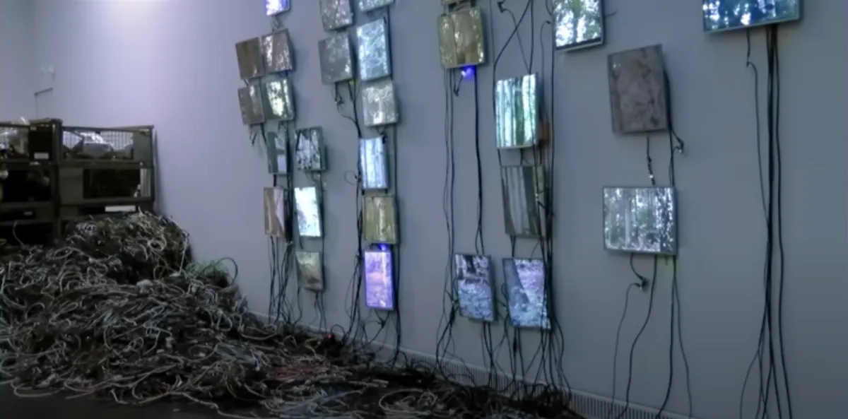 A multitude of display screens mounted on a wall showing distinct, vibrant forest images. A chaotic pile of cables or ropes covers the floor beneath.